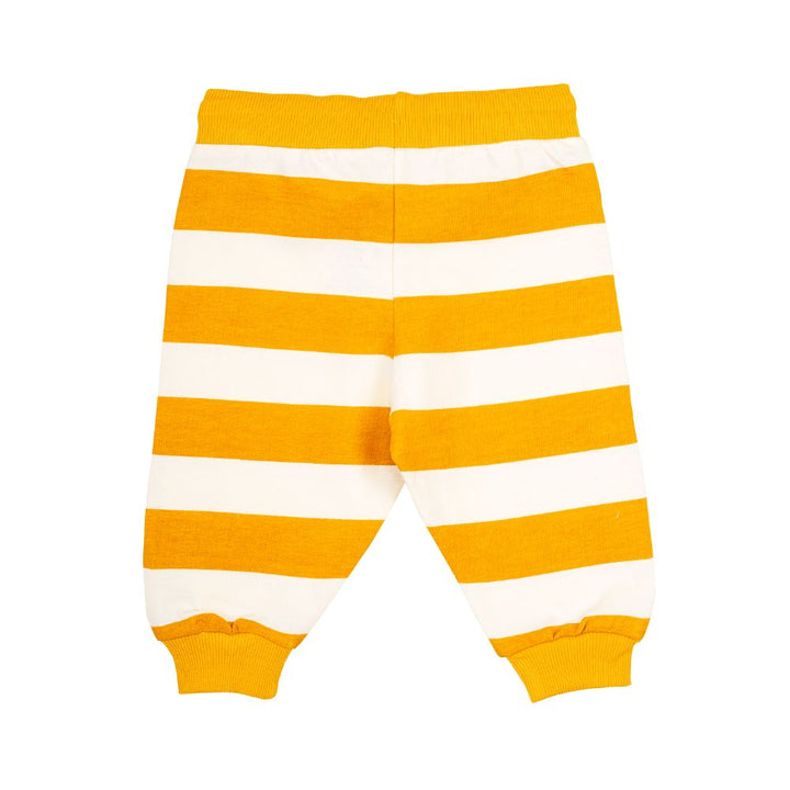 Mee Mee Boys Pack Of 2 Leggings – Antra Melange & Mustard